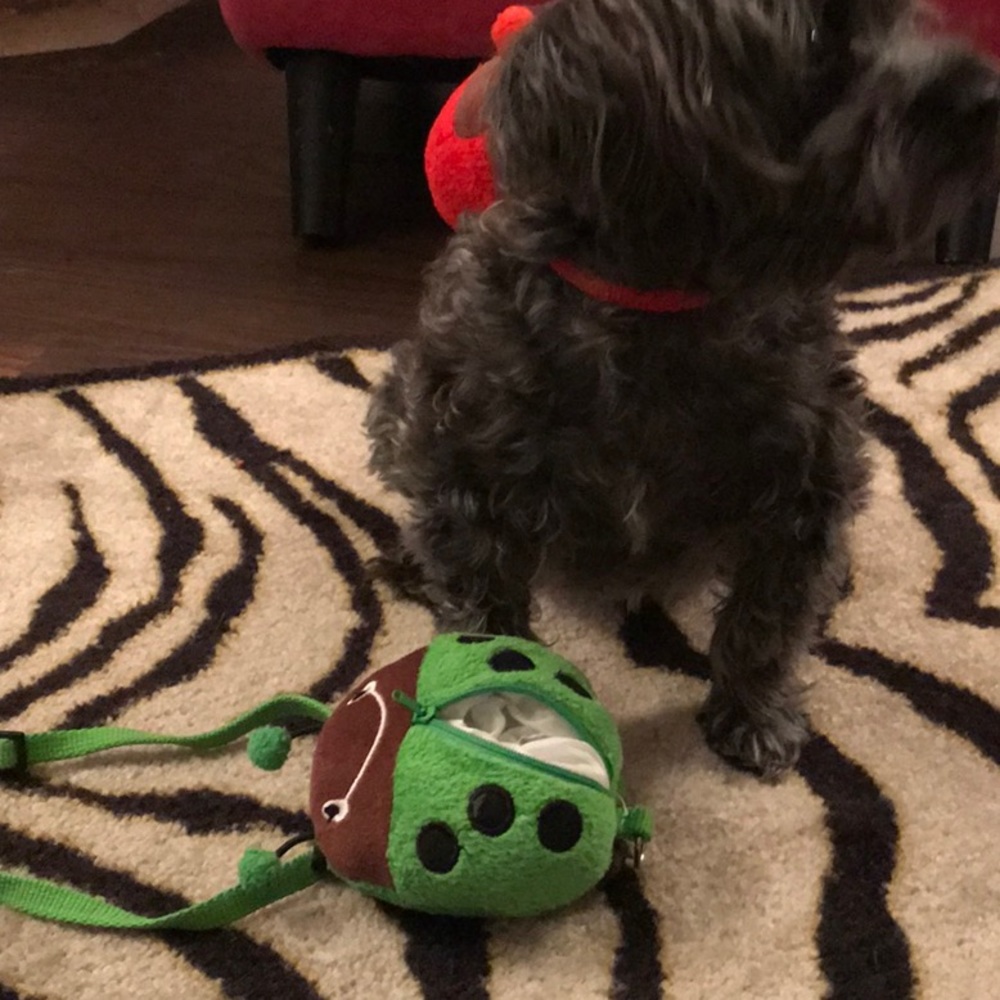 NEW Doggy ladybug harness backpack  - Picture 4 of 8